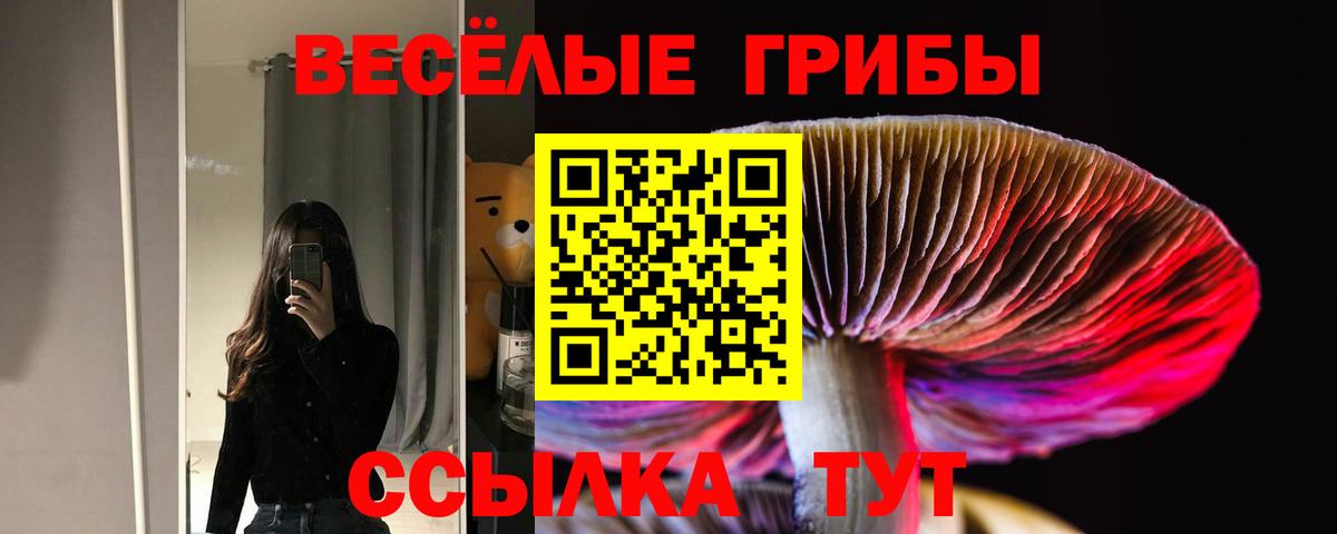 Галлюциногенные грибы ЛСД Каменск-Шахтинский